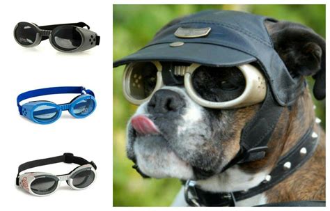 Doggles Ils Dog Goggles Sunglasses Uv Protection Eye