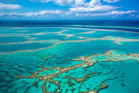 The Largest Coral Reefs In The World