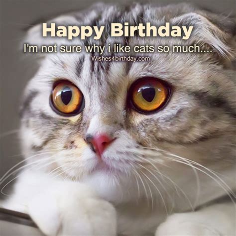 Most Shared Birthday Text And Quote Photos Happy Birthday Wishes Memes Sms And Greeting Ecard