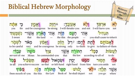 Biblical Hebrew Morphology Hebrew Through The Bible