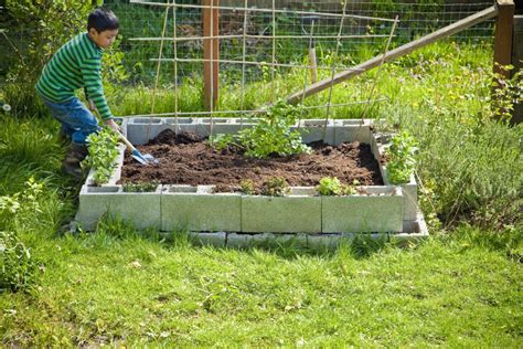 Why A Nursery Bed Saves You Money And How To Make One Organic Gardening