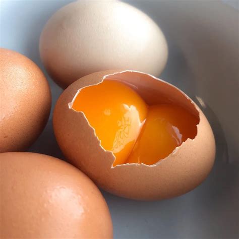 3 Things You Didnt Know About Double Yolks Vital Farms