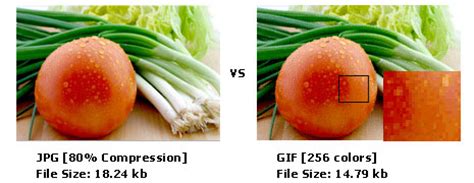 Conversion from any raw formats (cr2, nef, arw). The JPEG (Joint Photographic Experts Group) image file format