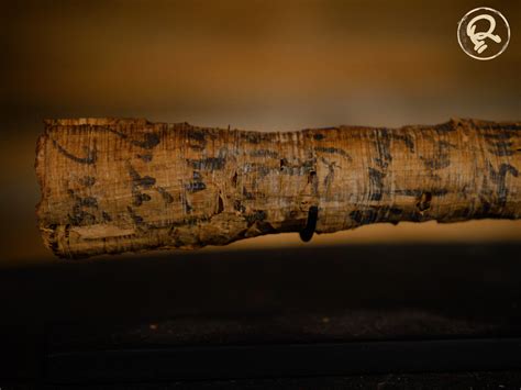 These Papyrus Scrolls Hold Unknown Secrets - Ripley's Believe It or Not!