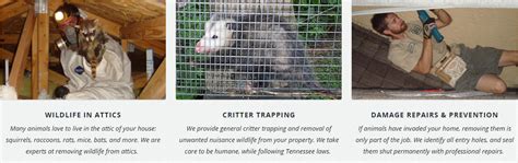 Animal pests and threats have a major detrimental effect on our environment. Mason Ohio Pest Wildlife Removal, Animal Trapping and Control