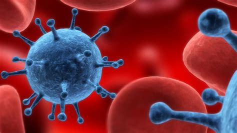 In the past 15 years, great strides have been made in cancer research. El estrés acelera la metástasis del cáncer | Life ...