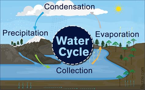 Water Cycle An Easy Explanation For Kids Science Struck