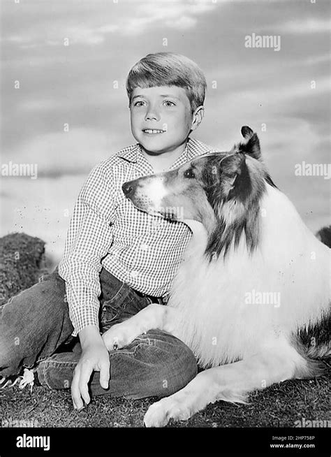 Publicity Photo Of Jon Provost And Lassie From The Television Program