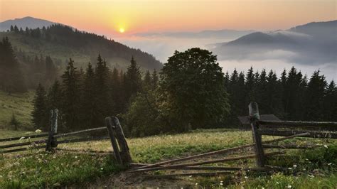 Carpathians Ukraine Forest Carpathian Mountains Ukraine