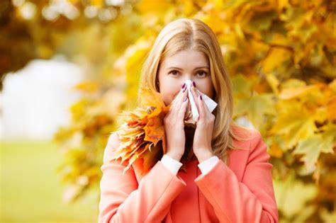 Fall Allergies Heres How To Beat Them University Health News