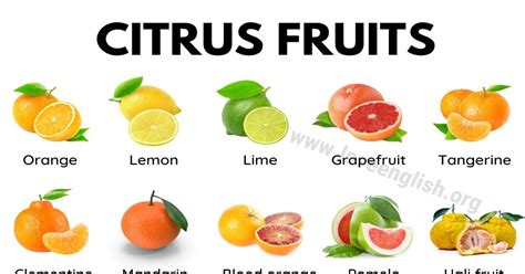 30 Delicious Citrus Fruits Youve Got To Try Love English