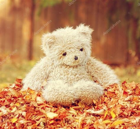 Teddy Bear In Pile Of Leaves — Stock Photo © Graphicphoto 53630561