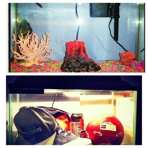 Old Fish Tank Turned Into An Autographed Basketball Memorabilia Diy