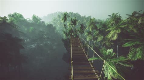 Rope Bridge In Misty Jungle With Palms Wonder Wall