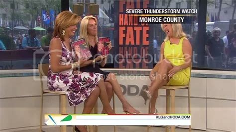 Tv Anchor Babes A Hot Leggy Lis Wiehl On The Today Show