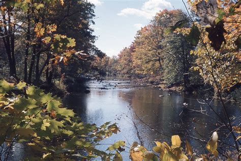 A River Surrounded By Lots Of Trees In The Fall