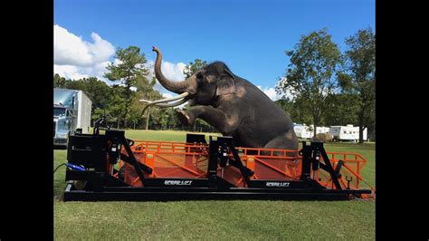 Superior Handling Equipment Speed Lift Elephant Commercial Portable