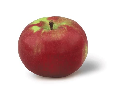 Mcintosh New York Apple Association