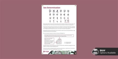 Sex Determination Information Poster Teacher Made Twinkl