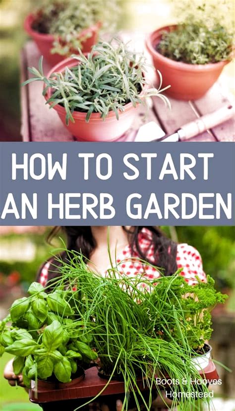 The gardening experts at hgtv.com show how to plant a simple kitchen herb garden. How to start an herb garden. Learn the basics of herb ...