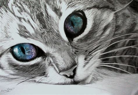Gatos Dibujos A Lapiz Pintura Moderna Y Fotografía Artística Dibujos De Gatos