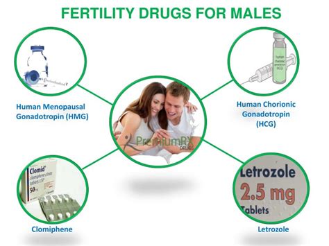 Fertility Drugs For Males