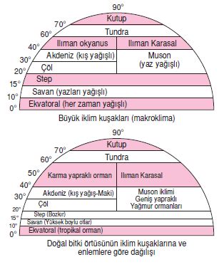 Halk geçimini denizden sağlıyor ya da avcılık ve ren geyiği. Soğuk iklimler | Bilgicik.Com - Türkçe, Edebiyat ...