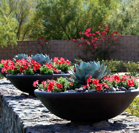 Beautiful Container Gardening Ideas Inspired Homelife