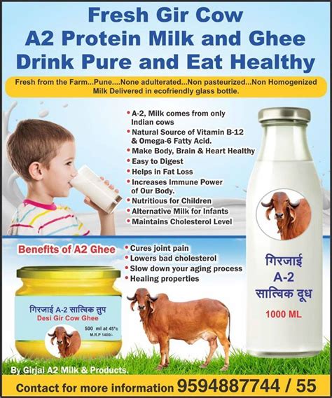 Fresh Raw A2 Milk From Desi Gir Cows Available In