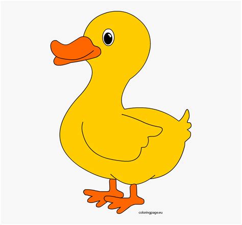 Free Duckling Clipart 10 Free Cliparts Download Images On Clipground 2022