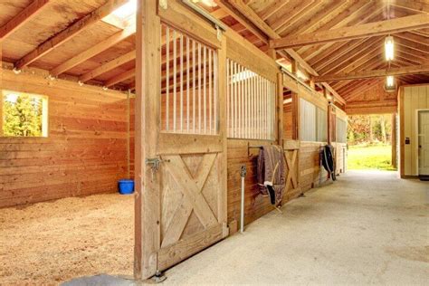 Stop Horsing Around Stable Design And Ventilation Are Crucial For