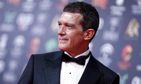 Antonio banderas туалетная мужская вода kingofseduc absolute100. Premios Goya 2020: Antonio Banderas desvela quién va a ser ...