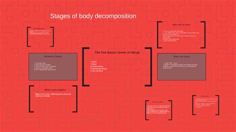 Stages Of Body Decomposition By Fletcher Dudman Batters On Prezi