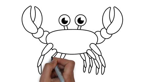 Learn How To Draw A Crab Easy Step By Step Drawing Tu