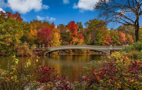 Wallpaper Autumn Bridge New York Usa Central Park Images For