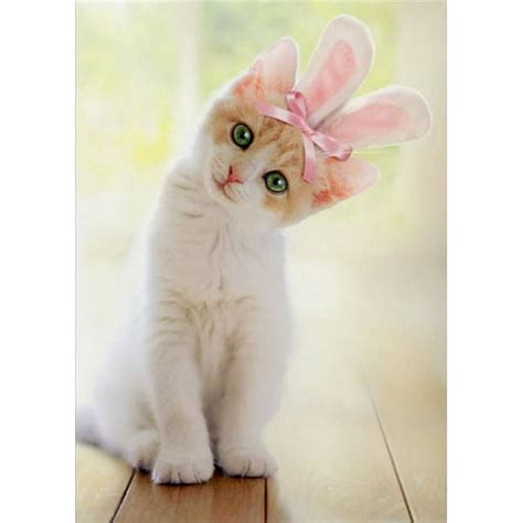 Avanti Press Kitten With Bunny Ears Cat Easter Card