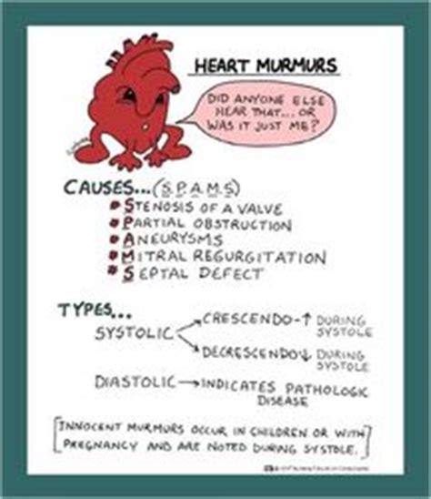 For more anatomy content please follow us and visit our website: Heart murmur and Heart on Pinterest