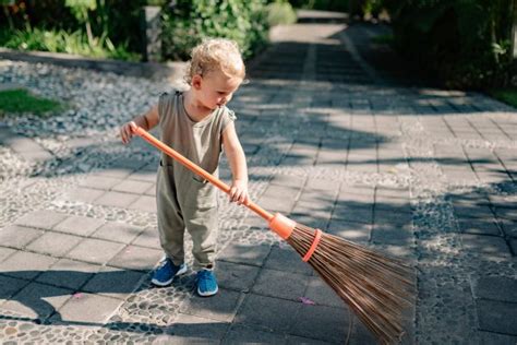 Vorüberlegungen alle pflanzen brauchen wasser, und bewässerungssysteme sind. Bodenbeläge im Garten - Darauf sollten sie achten - Heim ...