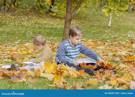 Children Play In The Autumn Park The Kids Throw Yellow Leaves Baby