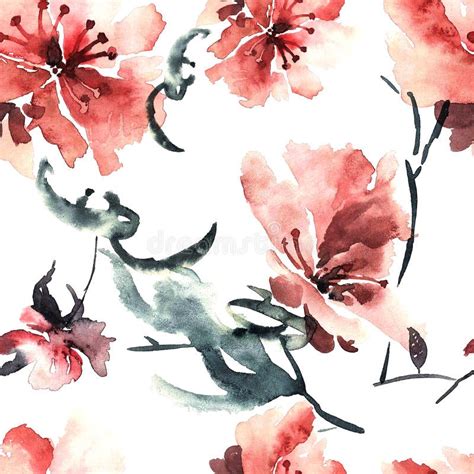 Sakura Flower Stock Illustration Illustration Of Inflorescence 67249987