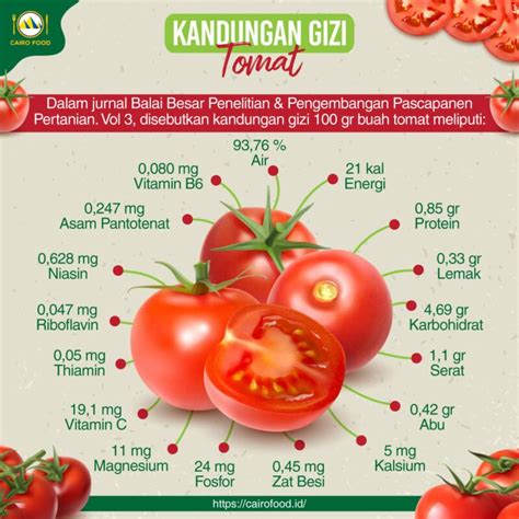 Tomat Termasuk Buah Atau Sayur Homecare