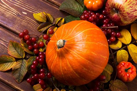 Fall Decor With Pumpkins Apples Viburnum Plan And Organize™