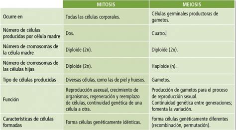Cuadros Comparativos Sobre Mitosis Y Meiosis Cuadro Comparativo