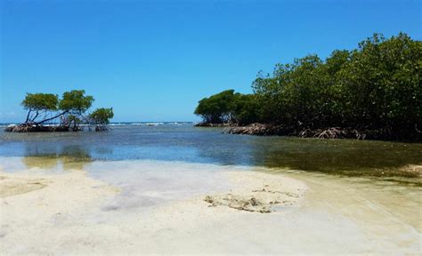 Playa La Parguera Descubra Puerto Rico