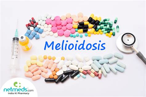 Melioidosis, also known as whitmore's disease, is a bacterial infection that can affect both people and animals. Melioidosis: Causes, Symptoms and Treatment