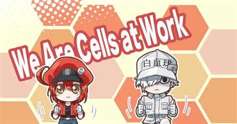 Cells At Work White Blood Cell Cells At Work Red Blood Cell