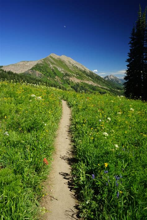 Crested Butte Hikes Gothic Mountain