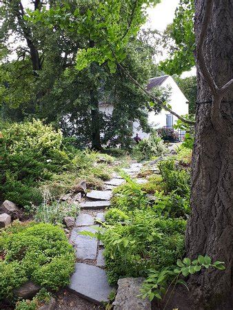 2,5 km, unmittelbar nach der kreuzung wittgensdorfer straße befindet sich der botanischen garten auf der linken seite. Botanischer Garten Chemnitz, Хемниц: лучшие советы перед ...