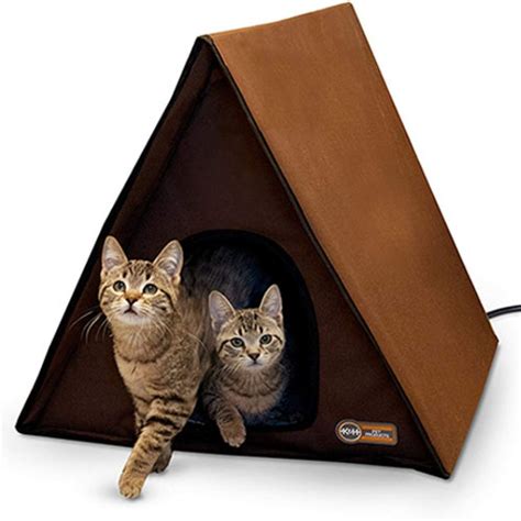 Top 6 Best Heated Cat Bed Reviewed And Buying Guide