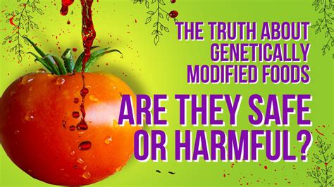 The Truth About Genetically Modified Foods Are They Safe Or Harmful